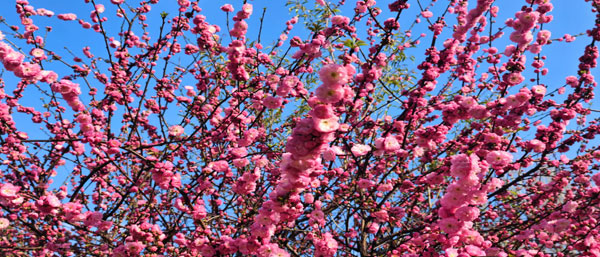 沈阳水质检测:流程保障水质安全,每一步不可或缺 沈阳水质检测:流程保障水质安全,每一步不可或缺