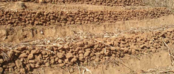 沈阳固废检测公司详解固废检测服务流程