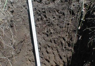 土壤检测项目四